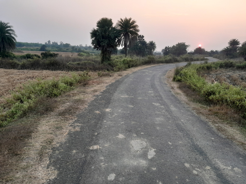  12 Bigha Agricultural/Farm Land for Sale in Chhatna, Bankura