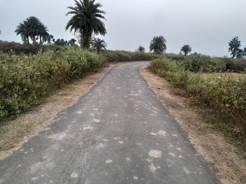  12 Bigha Agricultural/Farm Land for Sale in Chhatna, Bankura