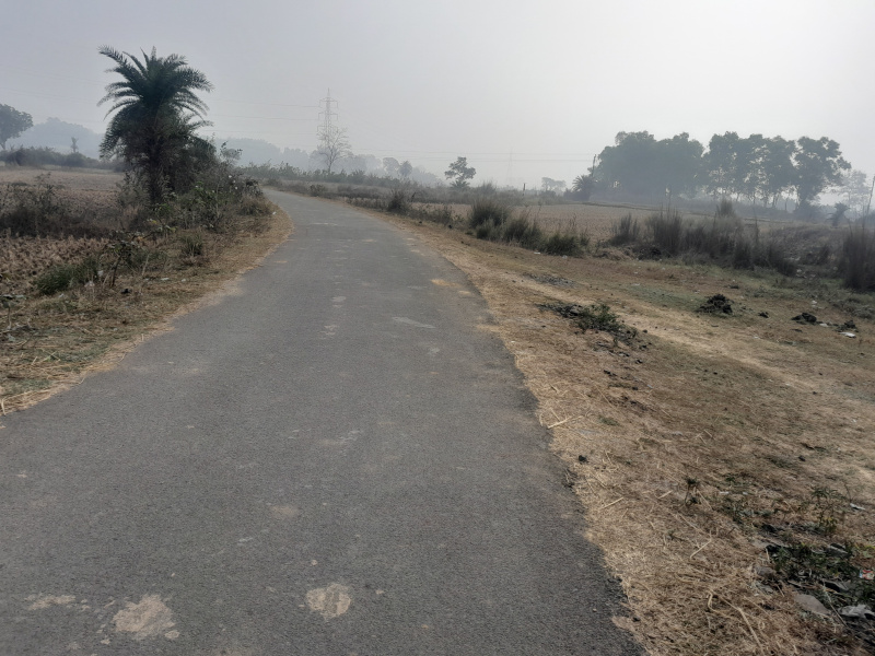  100 Bigha Industrial Land for Sale in Gangajalghati, Bankura