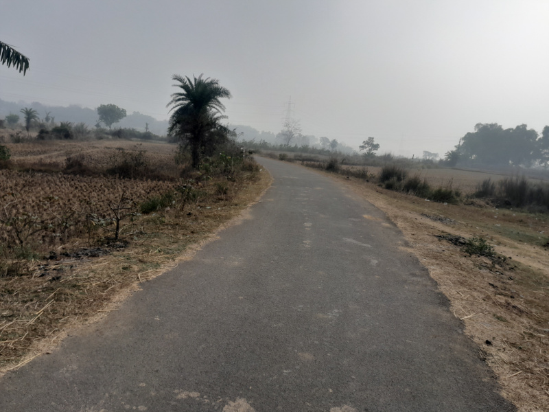  100 Bigha Industrial Land for Sale in Gangajalghati, Bankura