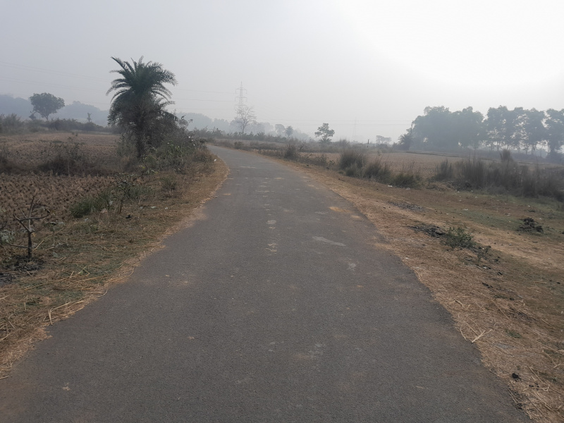  100 Bigha Industrial Land for Sale in Gangajalghati, Bankura