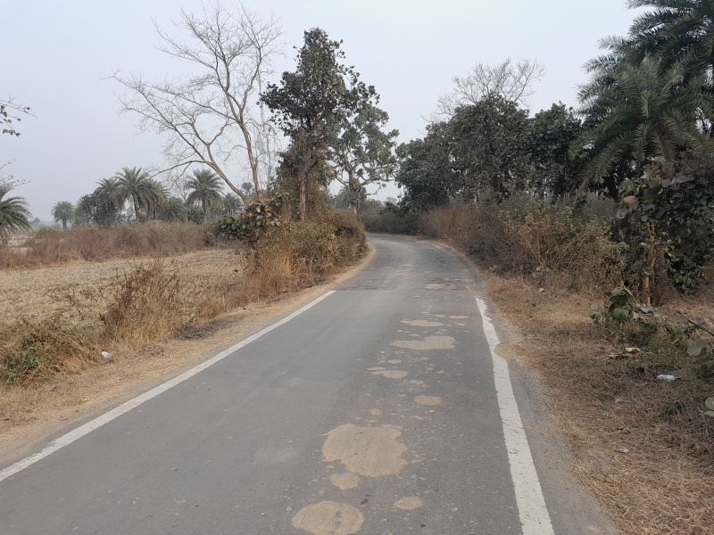  100 Bigha Agricultural/Farm Land for Sale in Chhatna, Bankura
