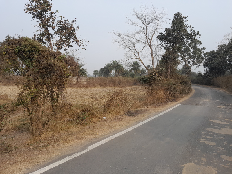  100 Bigha Agricultural/Farm Land for Sale in Chhatna, Bankura