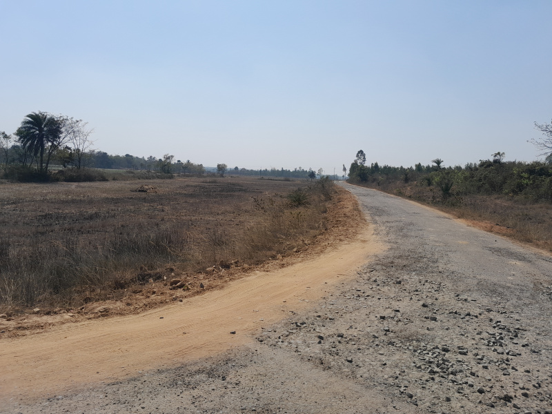  50 Bigha Agricultural/Farm Land for Sale in Beliatore, Bankura