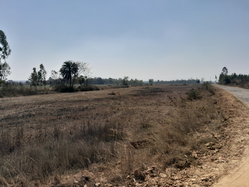 50 Bigha Agricultural/Farm Land for Sale in Beliatore, Bankura