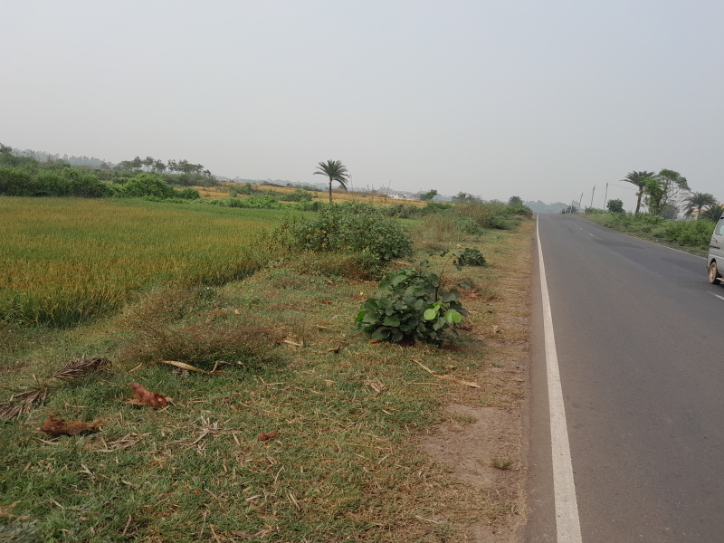  20 Bigha Residential Plot for Sale in Gobindanagar, Bankura