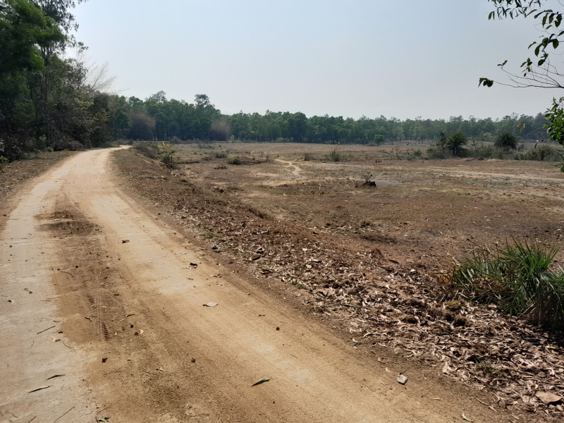  60 Bigha Agricultural/Farm Land for Sale in Bankra, Bankura
