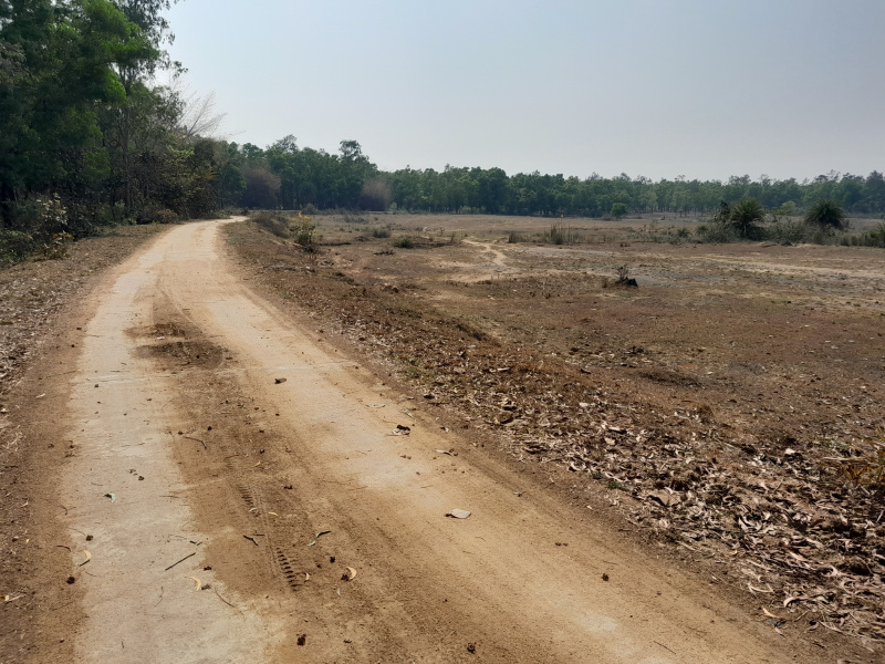  60 Bigha Agricultural/Farm Land for Sale in Bankra, Bankura
