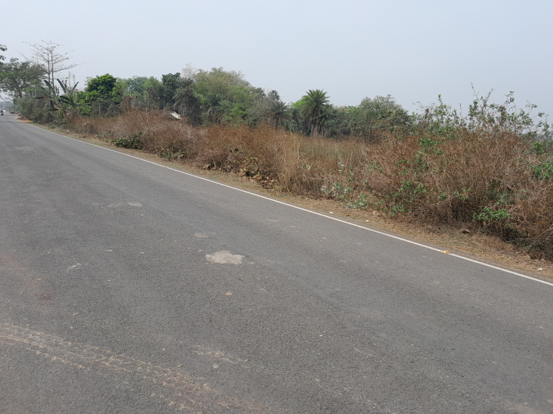  25 Bigha Agricultural/Farm Land for Sale in Chhatna, Bankura