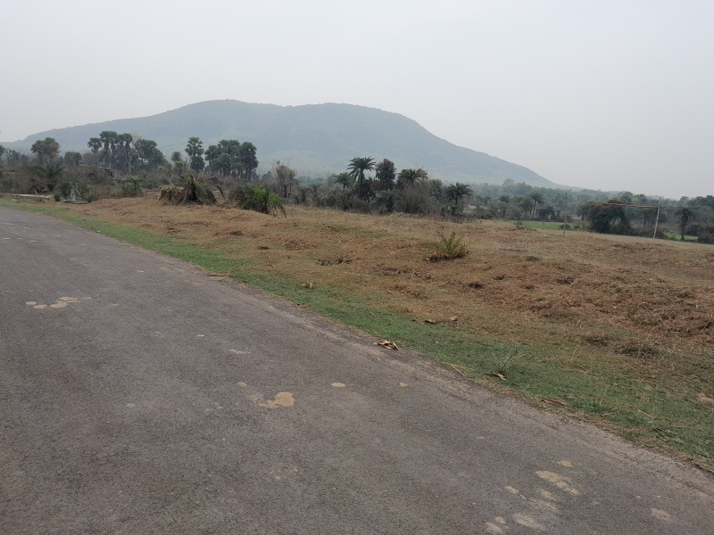  25 Bigha Agricultural/Farm Land for Sale in Chhatna, Bankura