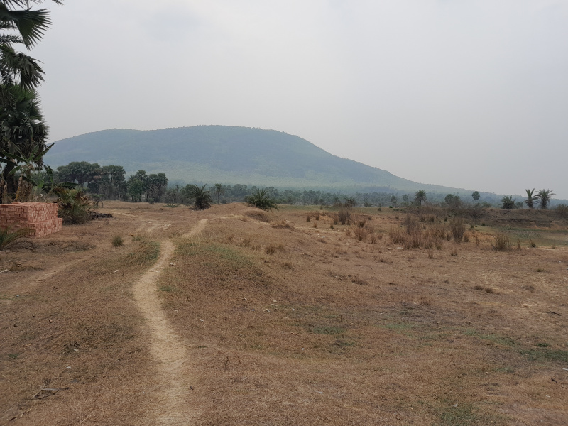  5 Bigha Agricultural/Farm Land for Sale in Chhatna, Bankura