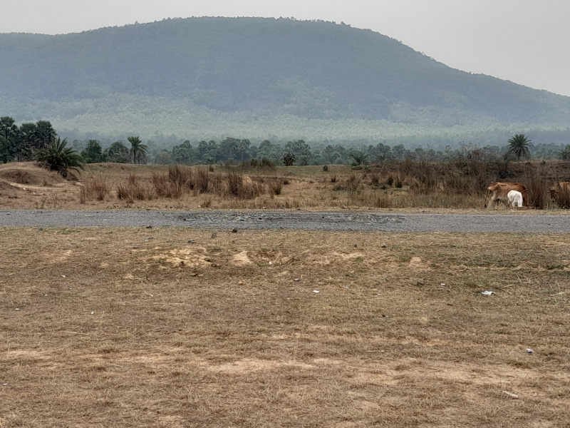  5 Bigha Agricultural/Farm Land for Sale in Chhatna, Bankura