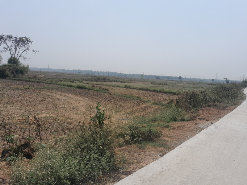  10 Bigha Agricultural/Farm Land for Sale in Rajbandh, Durgapur