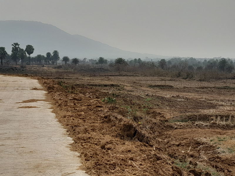  10 Bigha Agricultural/Farm Land for Sale in Chhatna, Bankura