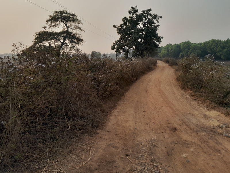  20 Bigha Agricultural/Farm Land for Sale in Beliatore, Bankura