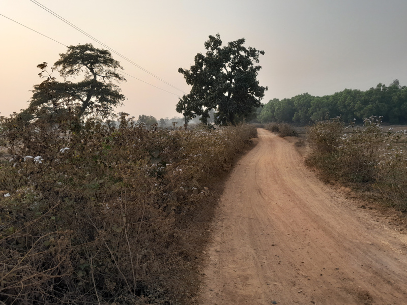  20 Bigha Agricultural/Farm Land for Sale in Beliatore, Bankura