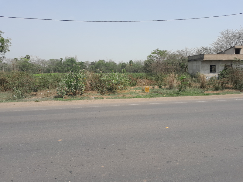  20 Bigha Commercial Land for Sale in Panagarh, Durgapur