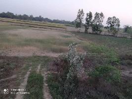  Commercial Land for Sale in Akbarpur, Ambedkar Nagar
