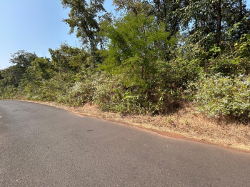  Agricultural Land for Sale in Kankavli, Sindhudurg