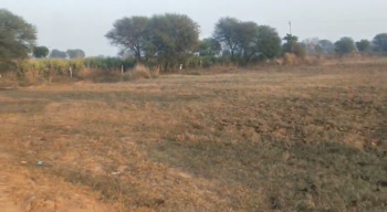  Agricultural Land for Sale in Kurali Highway, Chandigarh