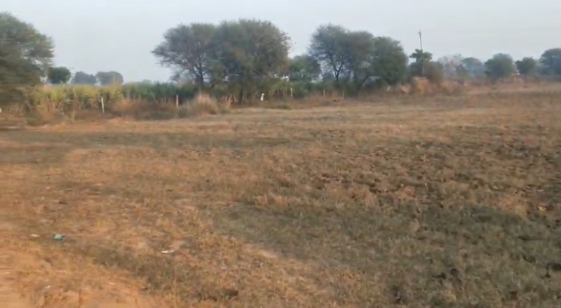  Agricultural Land 13 Acre for Sale in Kurali Highway, Chandigarh