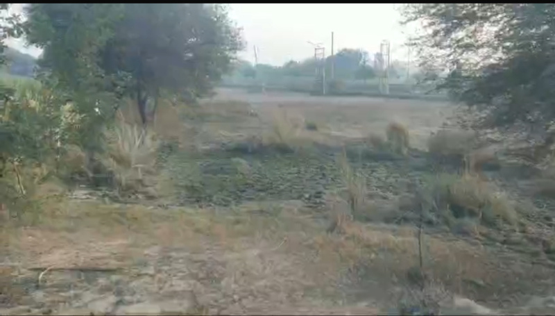  Agricultural Land 5 Acre for Sale in Chandigarh-Ludhiana Highway, Mohali