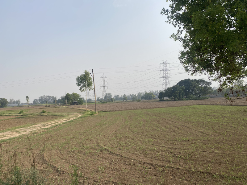  Agricultural Land 80 Acre for Sale in Mullanpur Garibdass, Mohali