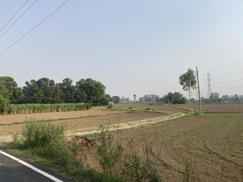  Agricultural Land 80 Acre for Sale in Mullanpur Garibdass, Mohali