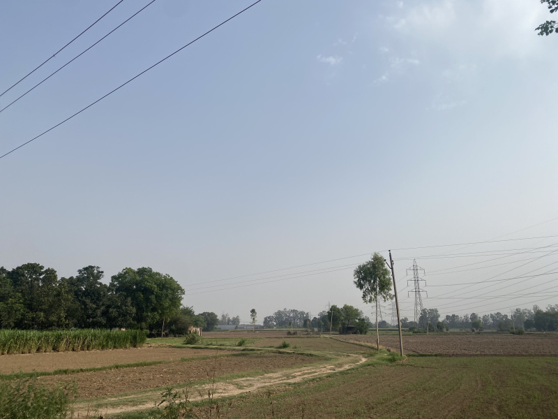  Agricultural Land 80 Acre for Sale in SAS Nagar, Mohali