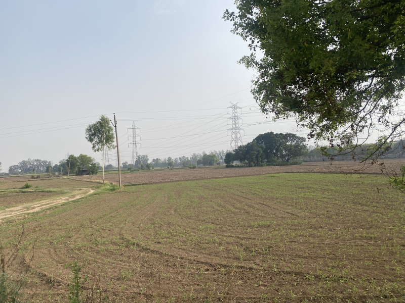  Agricultural Land 5 Acre for Sale in Industrial Area Phase I, Chandigarh