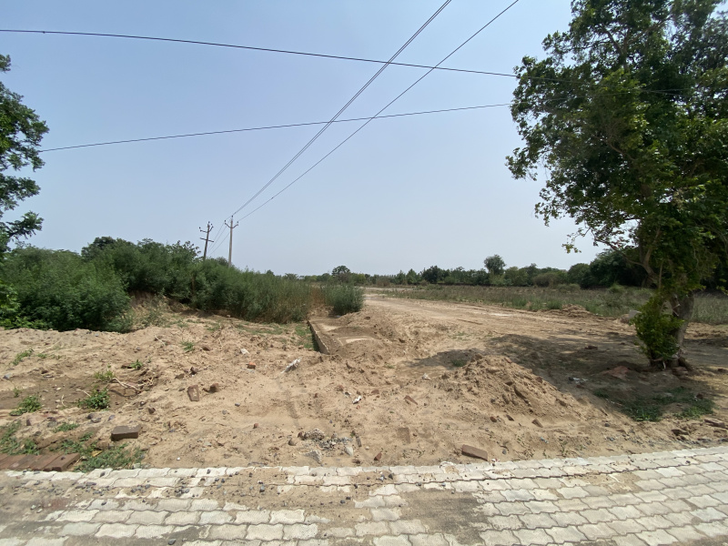  Agricultural Land 22 Acre for Sale in Sector 43 Noida