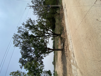  Industrial Land for Sale in Shambhoo Khurd, Rajpura