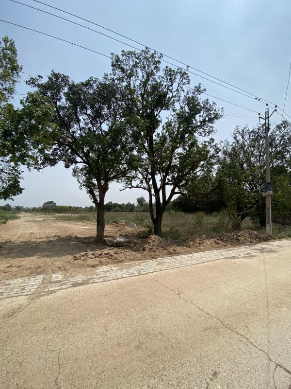  Industrial Land 47 Acre for Sale in Shambhoo Khurd, Rajpura