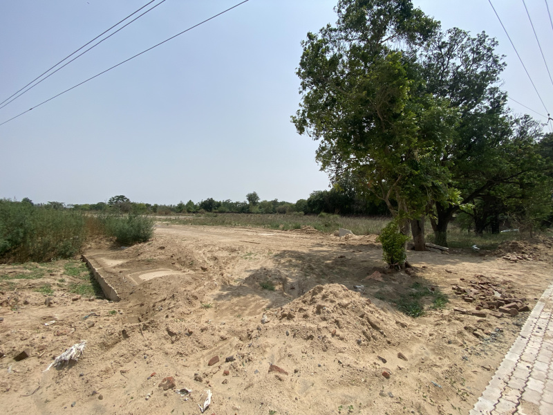 Industrial Land 47 Acre for Sale in Shambhoo Khurd, Rajpura
