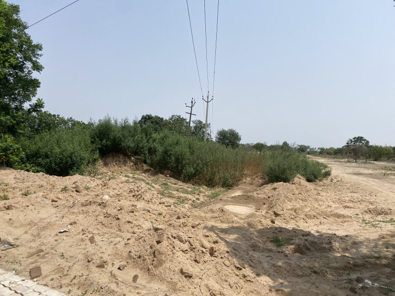  Agricultural Land 750 Bigha for Sale in Badarpur, Delhi