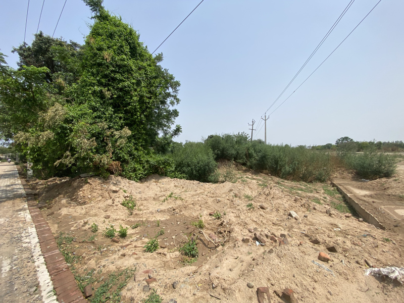  Agricultural Land 750 Bigha for Sale in Badarpur, Delhi