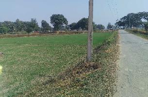  Agricultural Land for Sale in Bansi, Siddharthnagar
