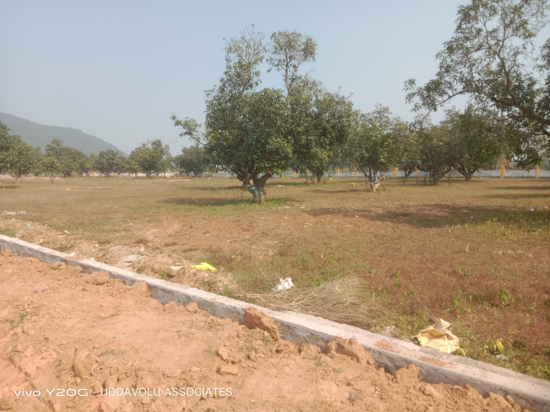  200 Sq. Yards Residential Plot for Sale in Gajapathinagaram, Vizianagaram