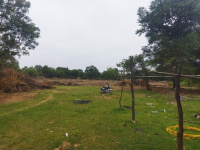  Agricultural Land for Sale in Mulbagal, Kolar