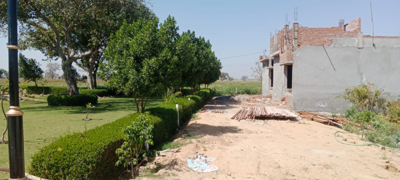  Residential Plot 1800 Sq.ft. for Sale in Jatari, Aligarh