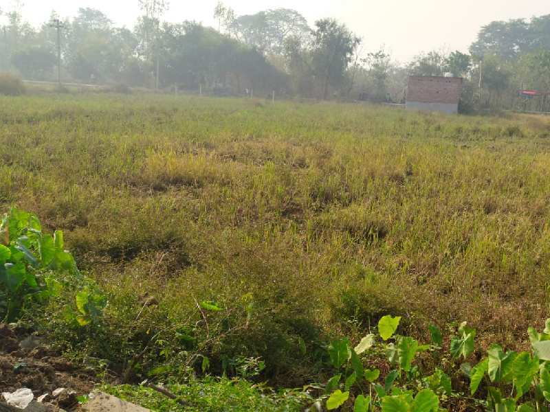  Residential Plot 2 Bigha for Sale in Barhani, Siddharthnagar