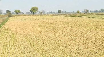  Agricultural Land for Rent in Nandgaon , Mathura