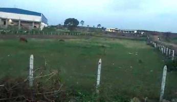  Industrial Land for Sale in Karegaon, Pune