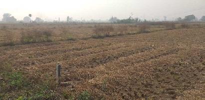  Industrial Land for Sale in Bihta, Patna
