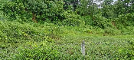  Industrial Land for Sale in Vadakkencherry, Palakkad