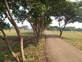  Commercial Land for Sale in Baramati, Pune