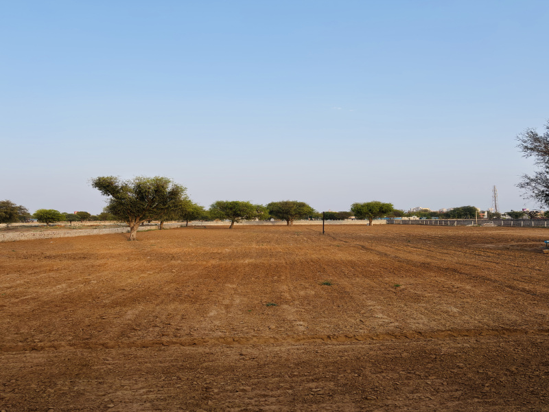  4 Bigha Agricultural/Farm Land for Rent in Ajmer Road, Ajmer Road, Jaipur