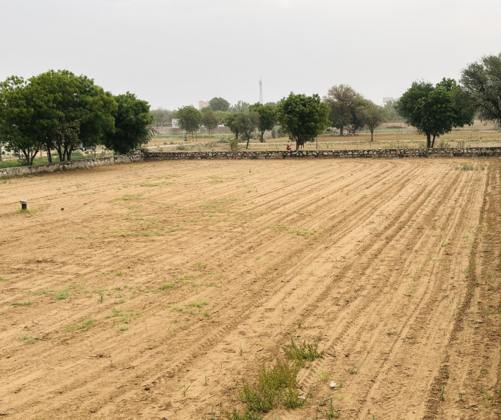  4 Bigha Agricultural/Farm Land for Rent in Ajmer Road, Ajmer Road, Jaipur