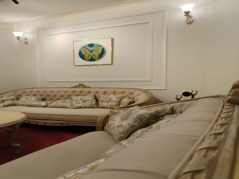 7 BHK House 10 Marla for Sale in Sector 9 Panchkula