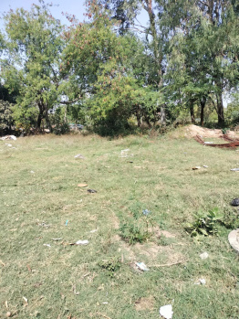  Residential Plot for Sale in MDC Sector 6